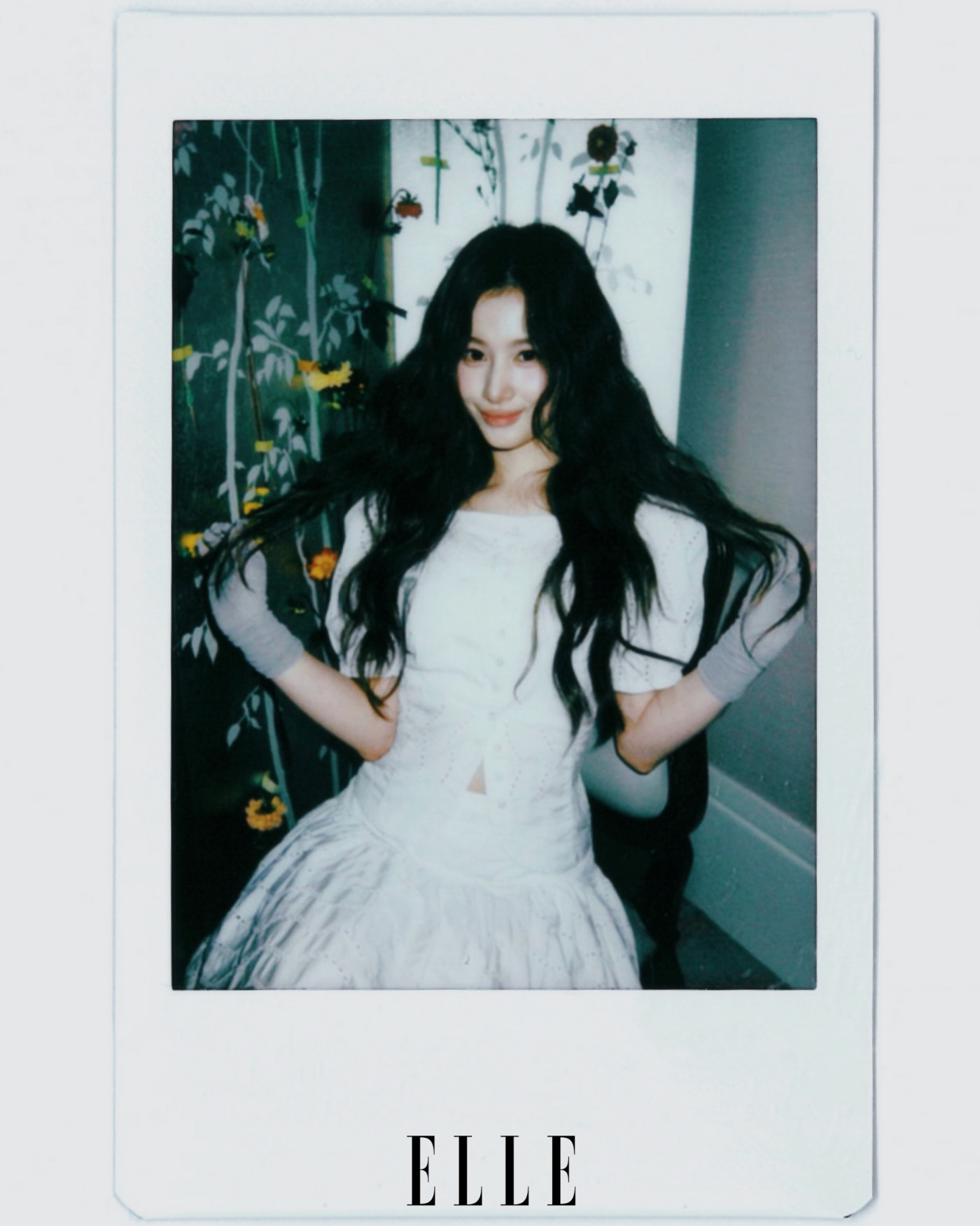 사나